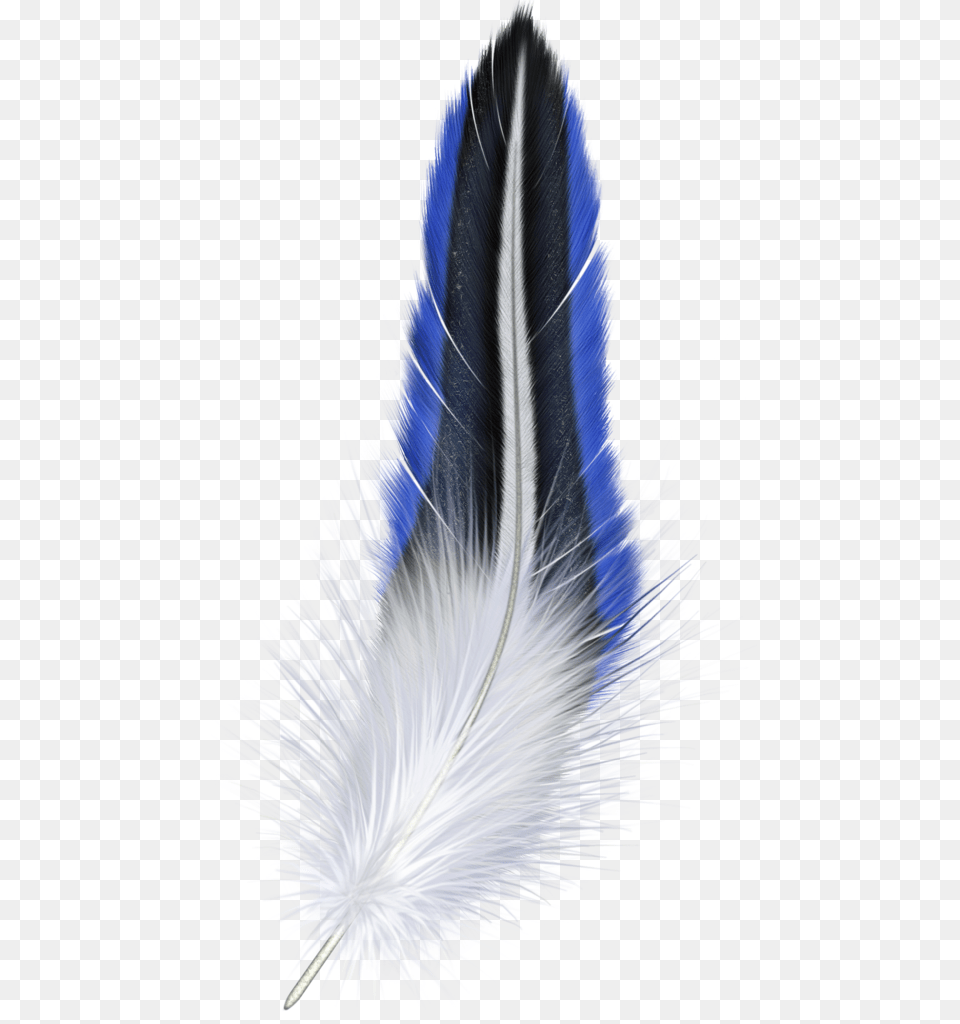 Feather, Brush, Device, Tool, Accessories Png Image