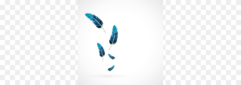 Feather Leaf, Plant, Art, Bottle Free Png