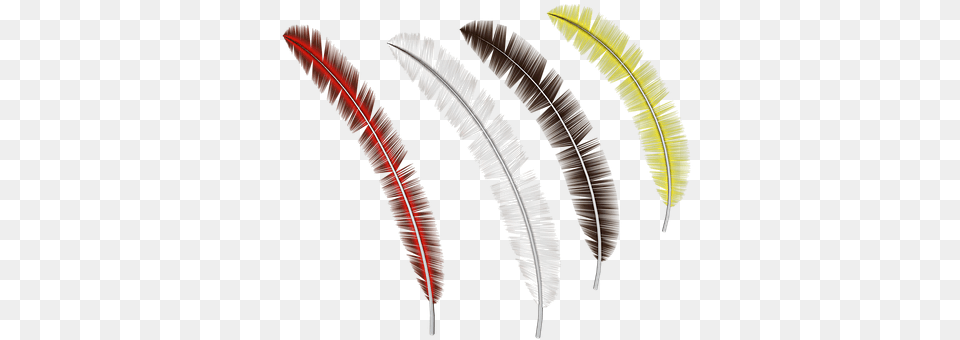 Feather Device, Toothbrush, Bottle, Brush Png Image