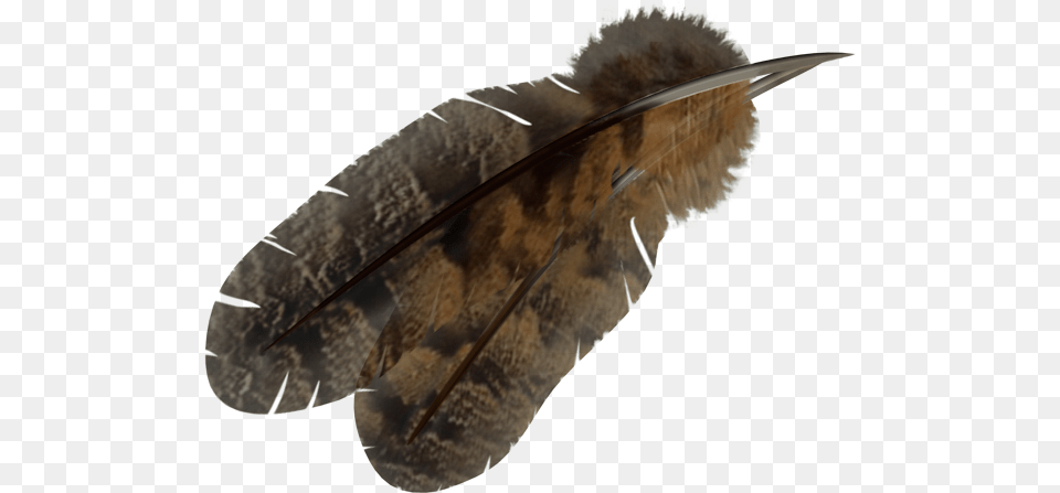 Feather 2 Brown Feathers, Animal, Butterfly, Insect, Invertebrate Png Image