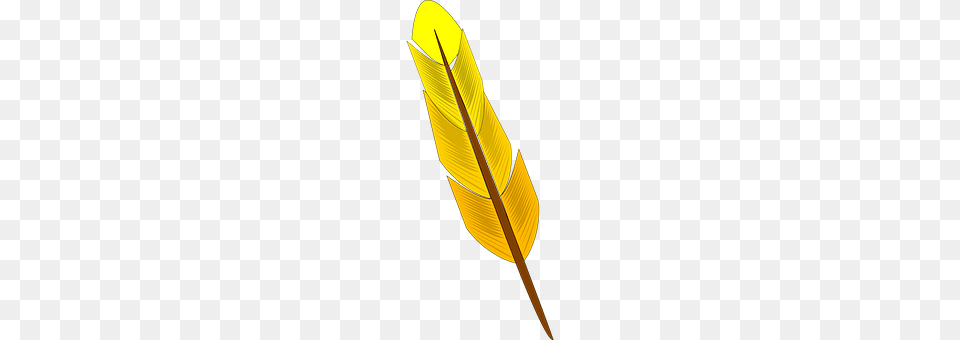 Feather Bottle Png Image