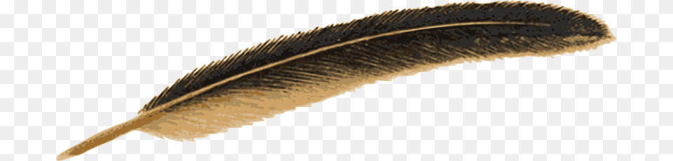 Feather, Bottle Png Image
