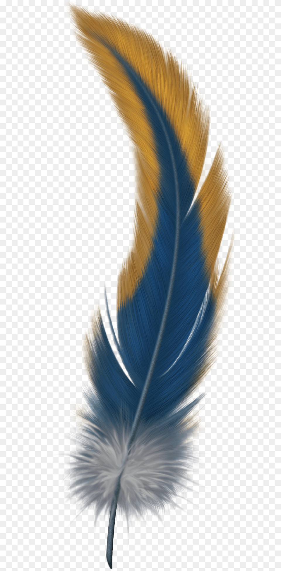 Feather, Accessories, Pattern, Fractal, Ornament Free Png Download