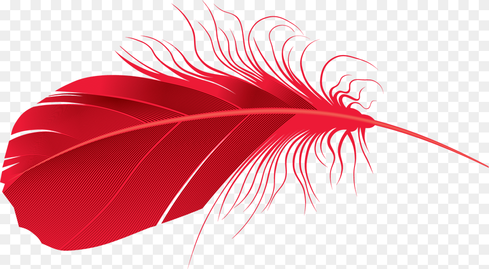 Feather, Art, Graphics, Leaf, Plant Png