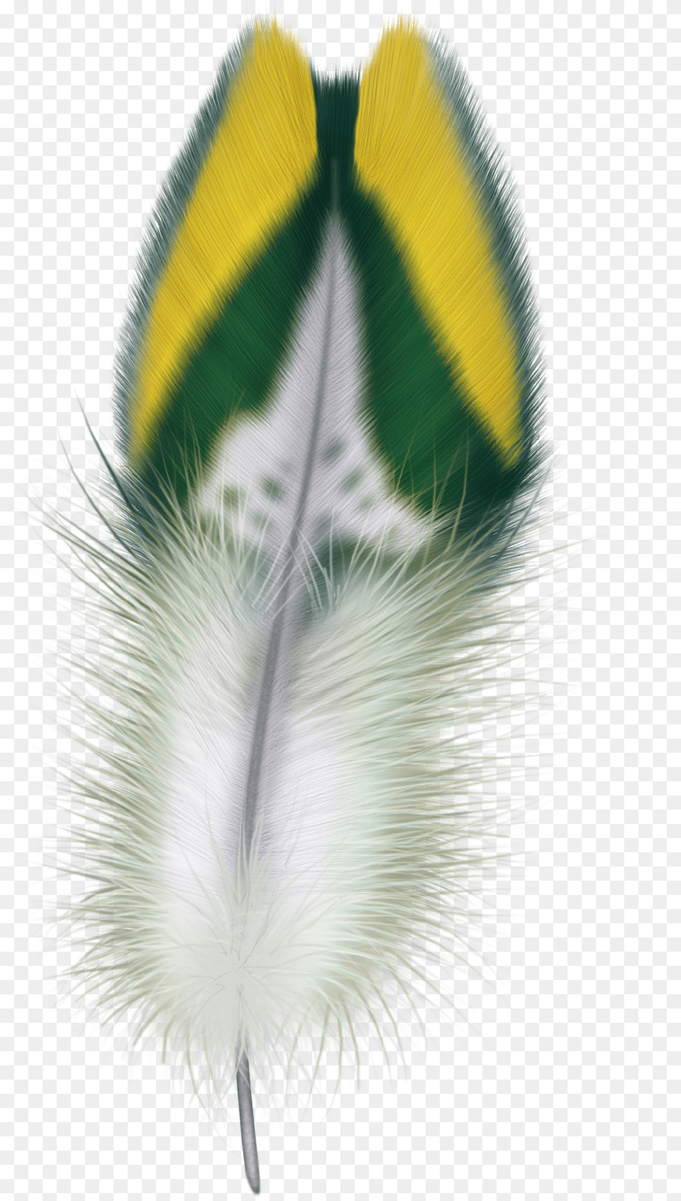 Feather, Accessories, Art, Graphics, Flower Png