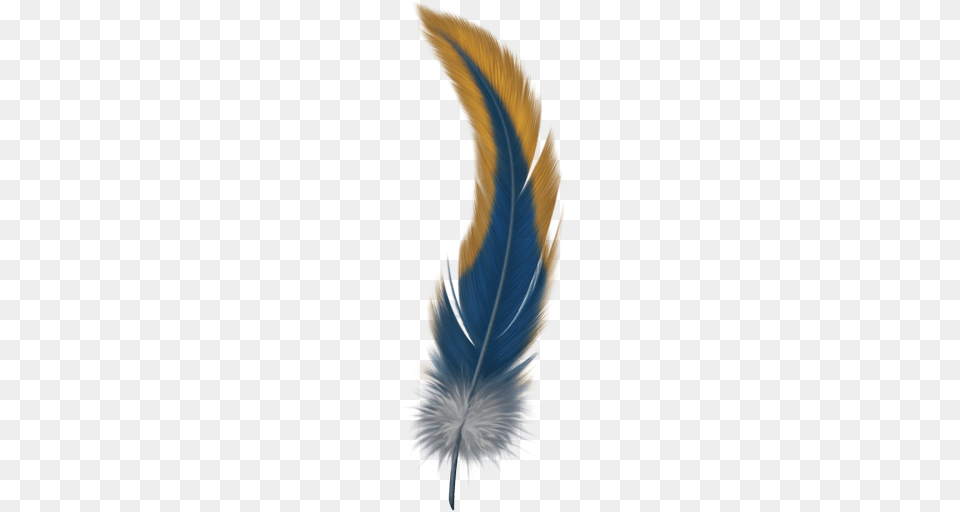Feather, Bottle, Accessories, Ink Bottle Png Image