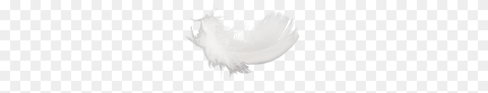 Feather, Accessories Free Transparent Png