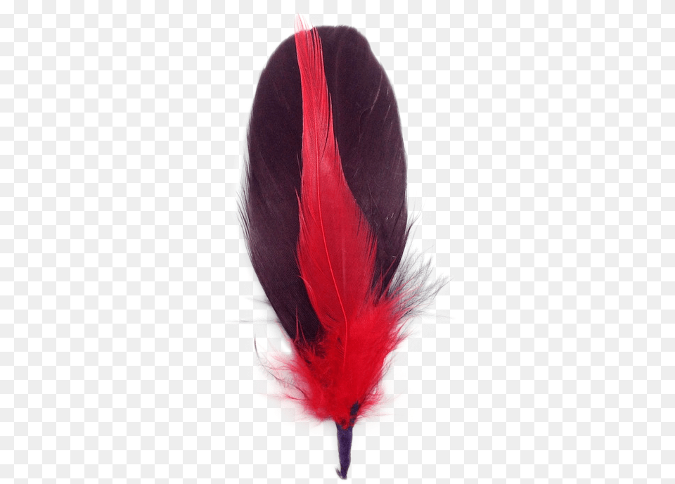 Feather, Hat, Plant, Clothing, Petal Png Image