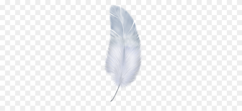 Feather, Bottle, Animal, Bird, Accessories Png