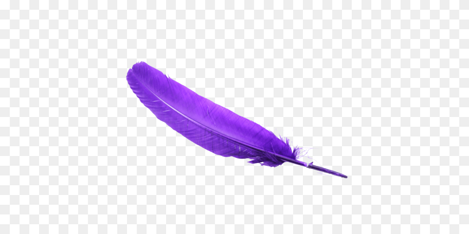 Feather, Purple, Bottle Free Png Download