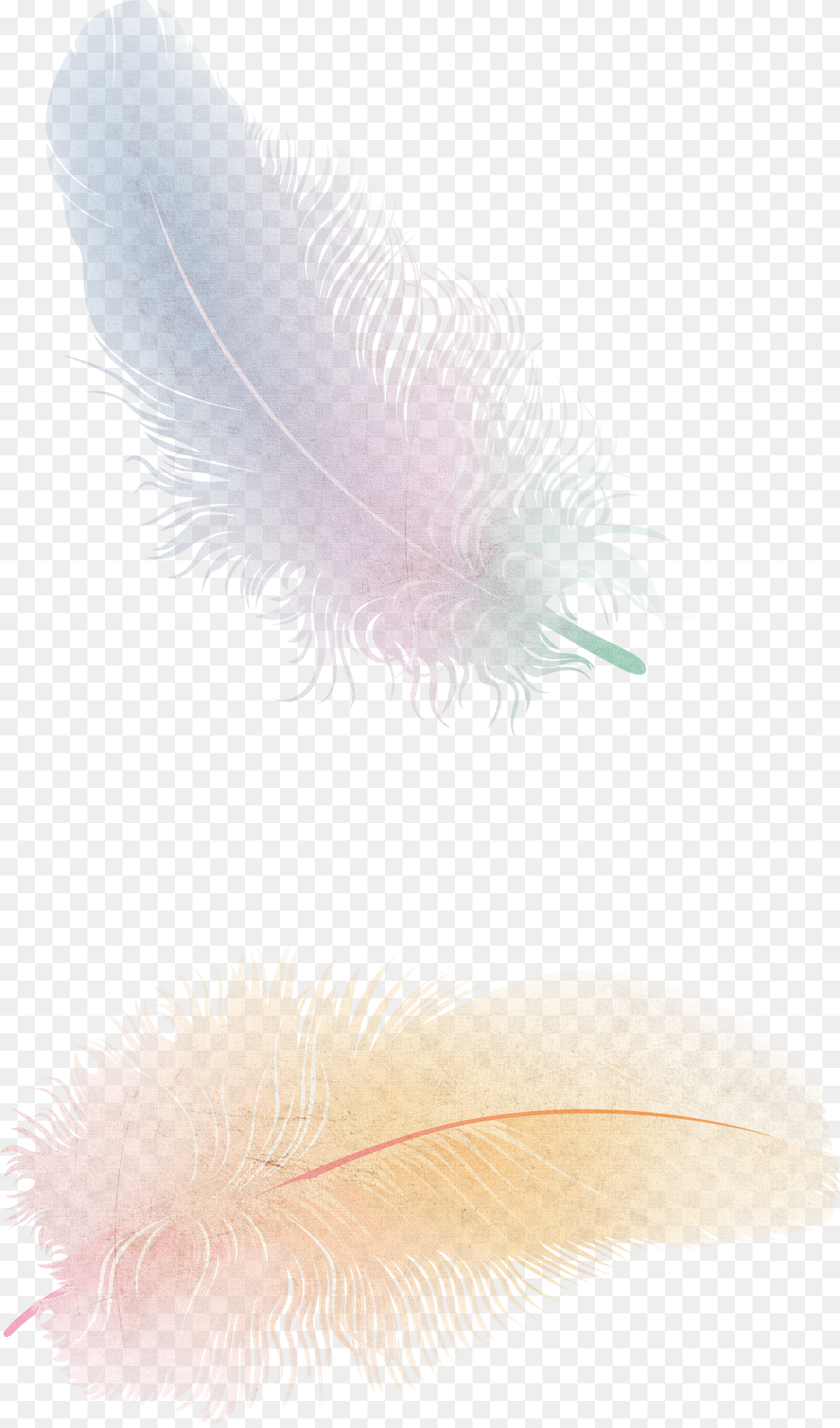 Feather, Clothing, Flip-flop, Footwear Free Png Download