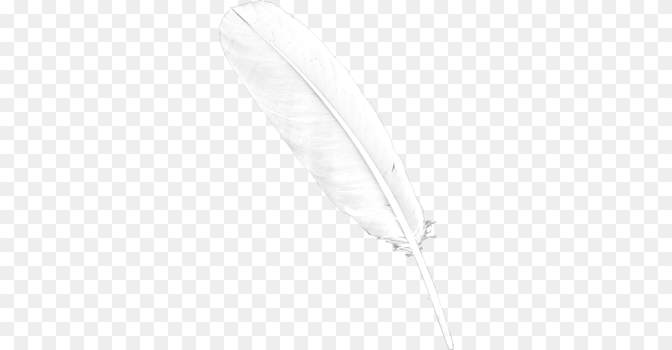 Feather, Bottle, Ink Bottle Free Png Download