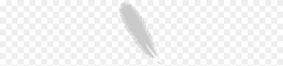 Feather, Bottle, Rocket, Weapon Png Image