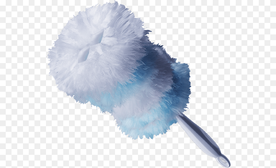 Feather, Brush, Device, Tool, Animal Free Png