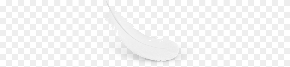 Feather, Bottle Png
