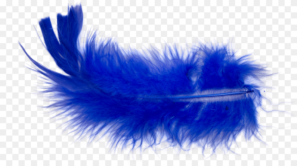 Feather Png