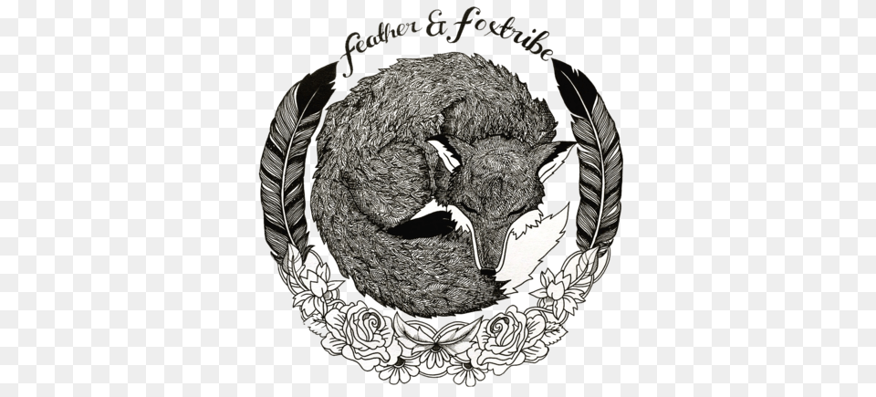 Feather Amp Foxtribe Illustration, Animal, Beak, Bird, Blackbird Free Png