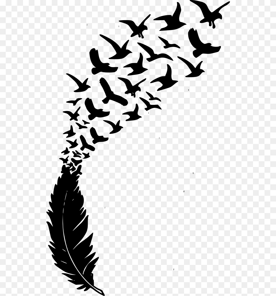 Feather And Birds Svg, Gray Free Png Download
