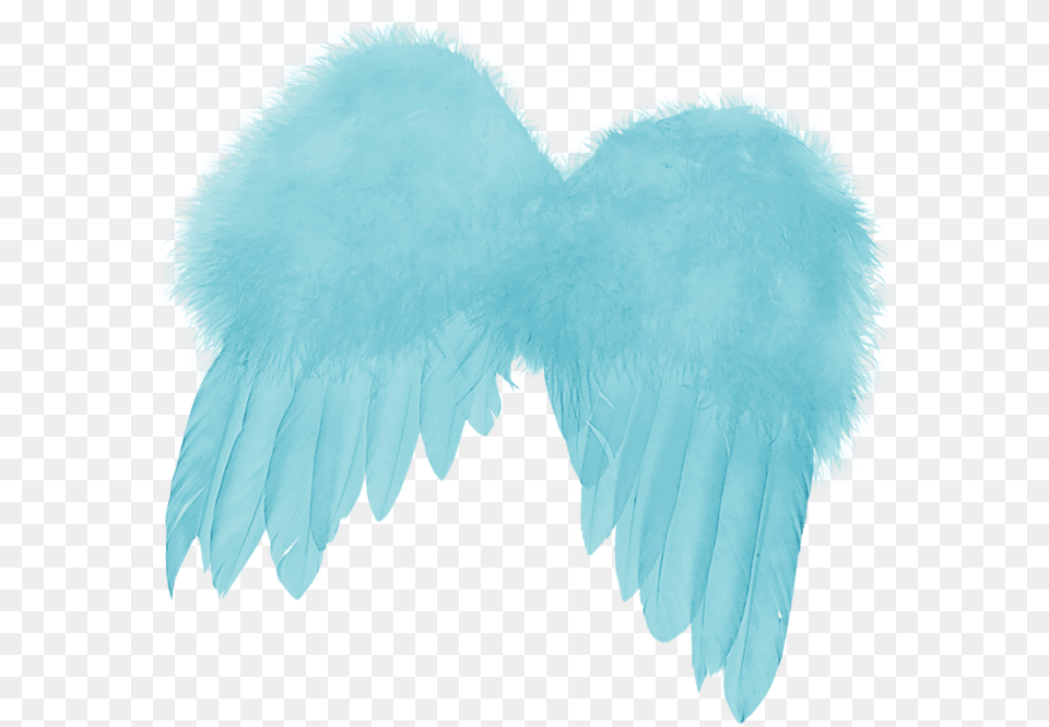 Feather Angels Angel Wing Blue Feather Wings Angel, Clothing, Glove, Ice, Turquoise Free Png