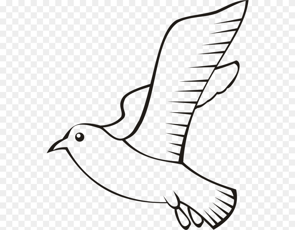 Feather Bird Beak Wing Flight, Animal, Blackbird, Flying Png Image