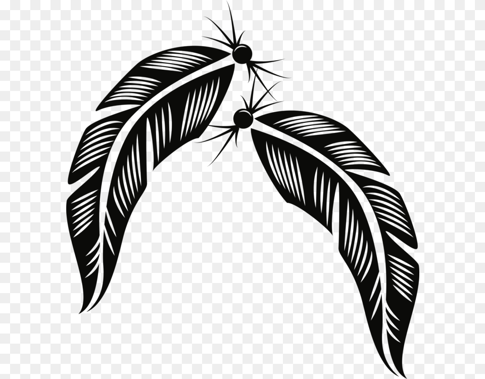 Feather Bird Description Plumage, Leaf, Plant Png Image