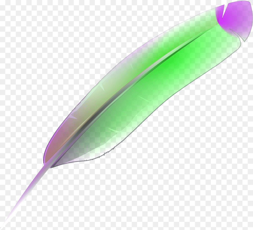 Feather Bird Nib Pen Nib Ink Pen Quill Colorful Bulu Ayam, Blade, Dagger, Knife, Weapon Png
