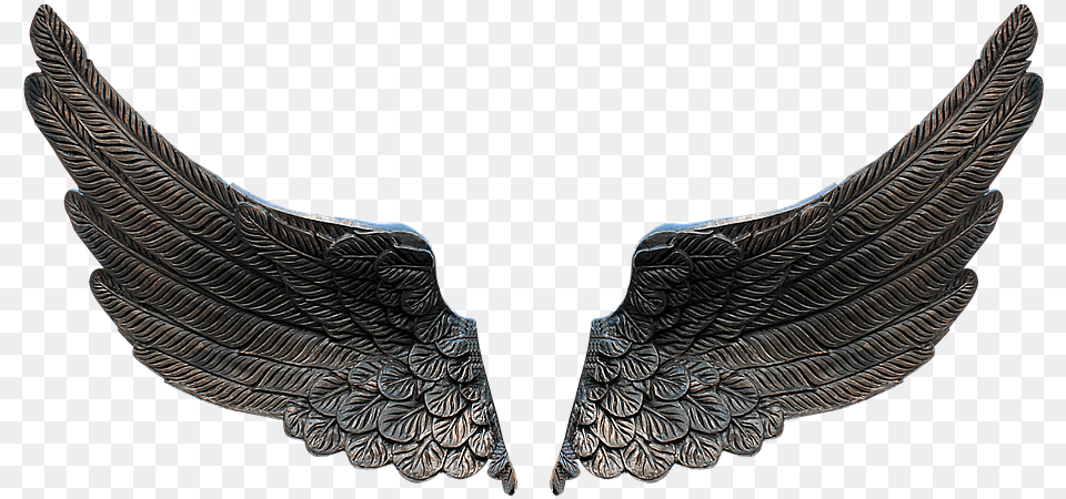 Feather Black, Accessories, Jewelry, Necklace, Animal Png
