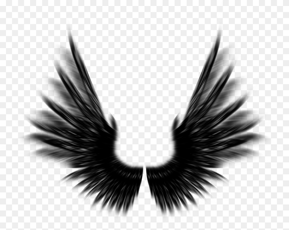 Feather Black Angel Wings Photoshop, Plant, Symbol Png Image