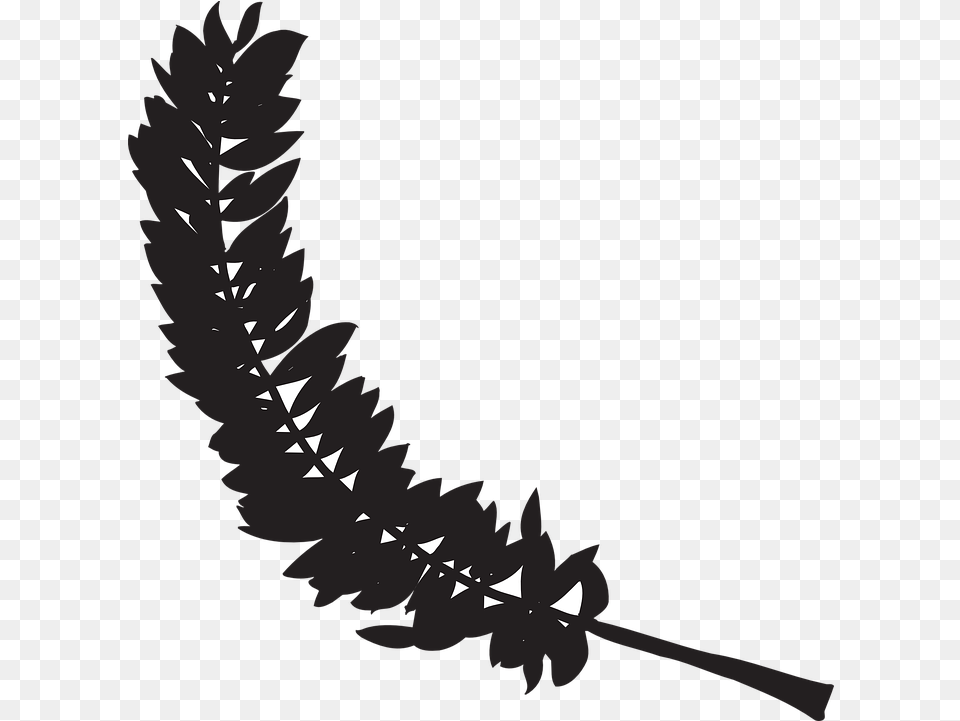 Feather Black Bird Vector Graphic On Pixabay, Leaf, Plant, Silhouette, Flower Free Transparent Png