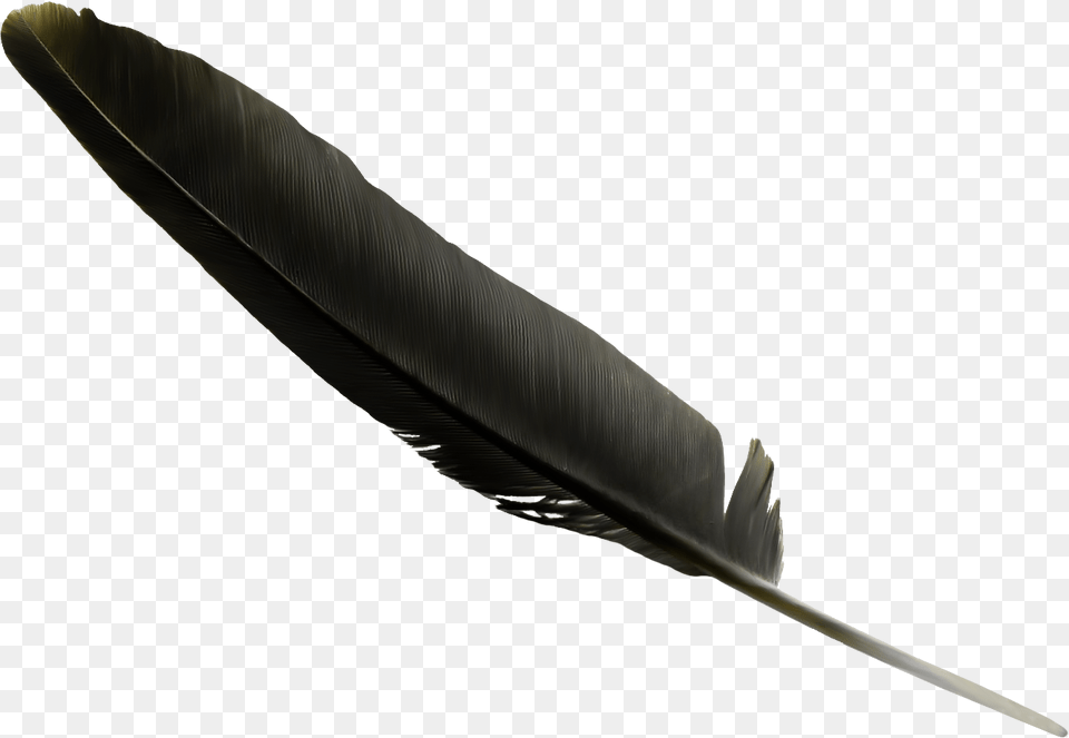 Feather Black Clip Art Black Feather, Bottle, Blade, Dagger, Knife Free Transparent Png