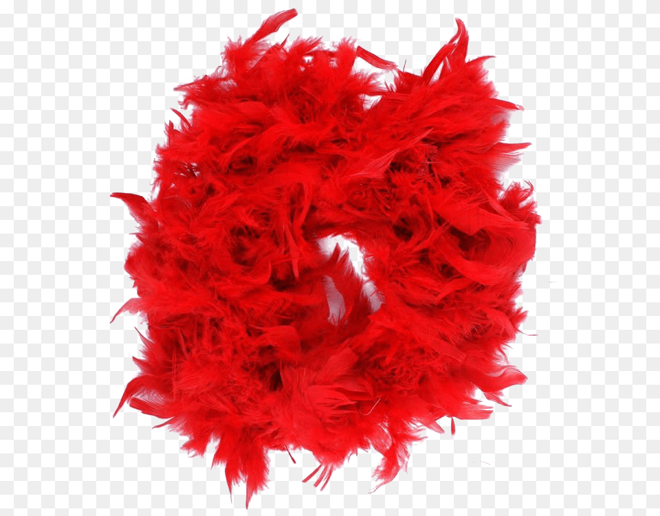 Feather Boa Download Feather Boa, Accessories, Feather Boa, Adult, Female Free Png