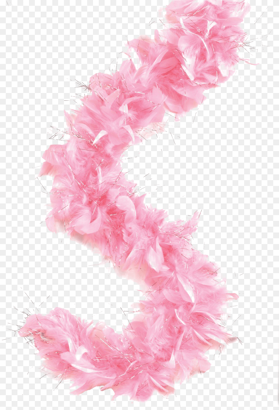Feather Boa Picture Feather Boa, Accessories, Person, Feather Boa Png