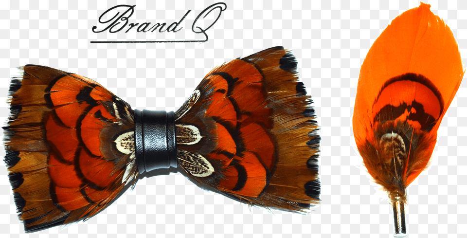 Feather Bow Ties Vanessa Butterfly Free Png