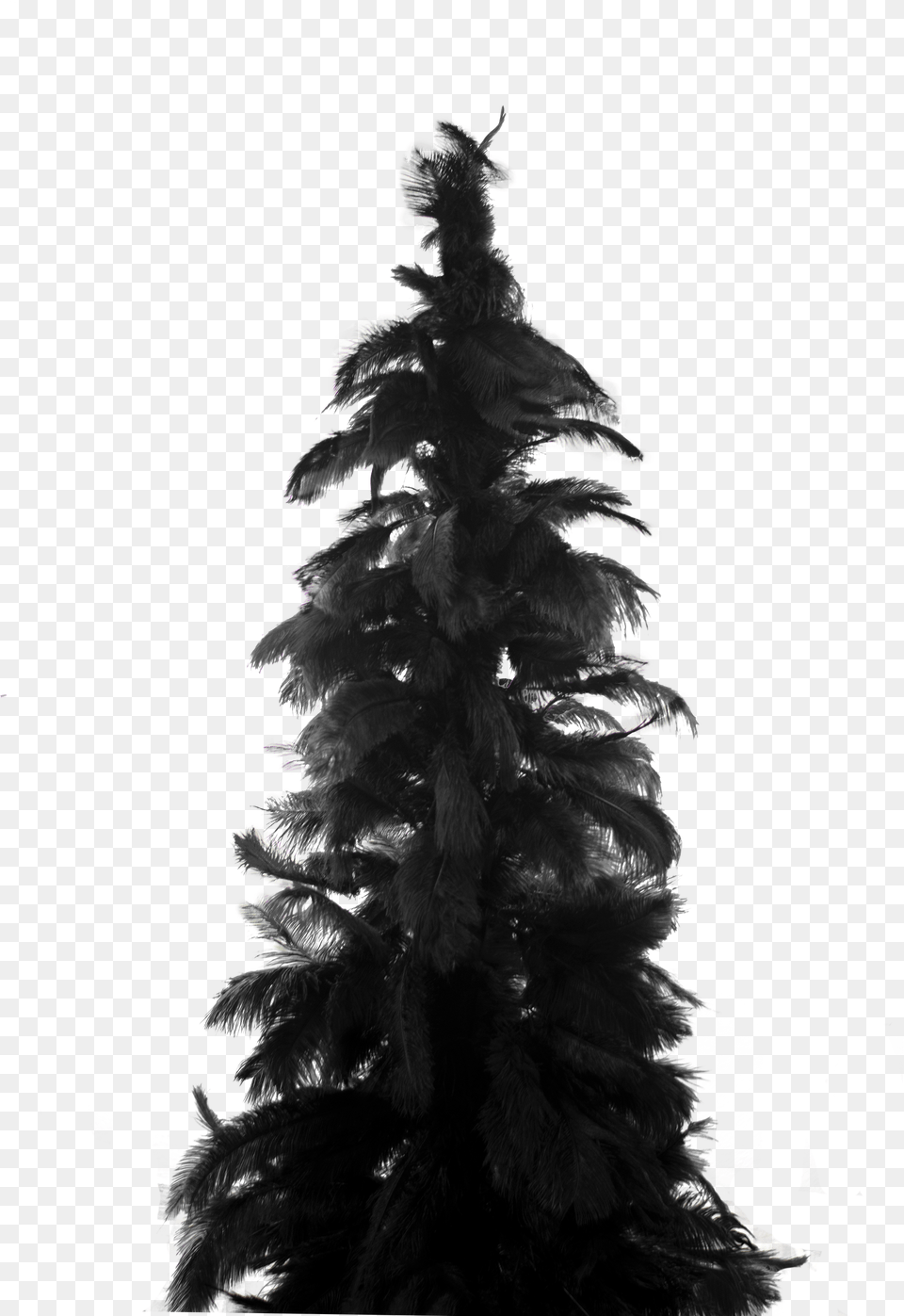 Feather Christmas Tree, Fir, Plant, Silhouette, Adult Free Png Download