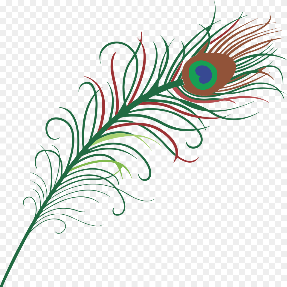 Feather Clip Art, Floral Design, Graphics, Pattern, Accessories Free Png Download