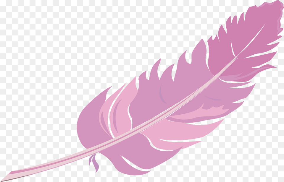 Feather Clipart, Bottle, Leaf, Plant Free Png Download