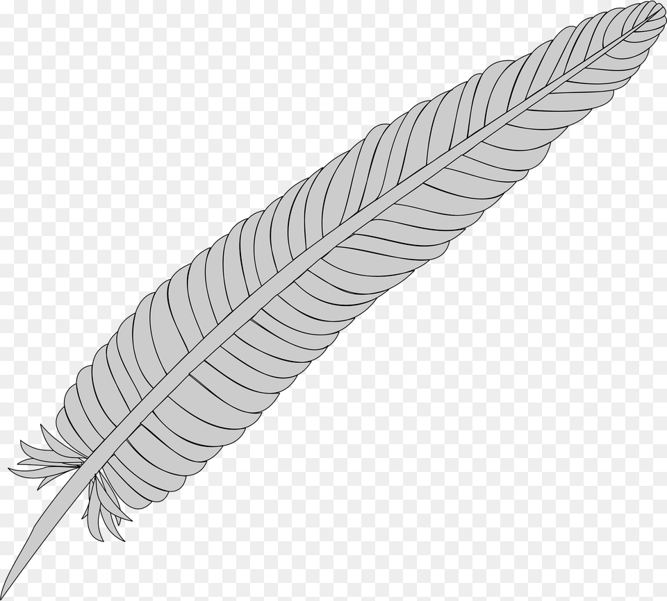 Feather Clipart, Leaf, Plant, Fern, Animal Free Png Download