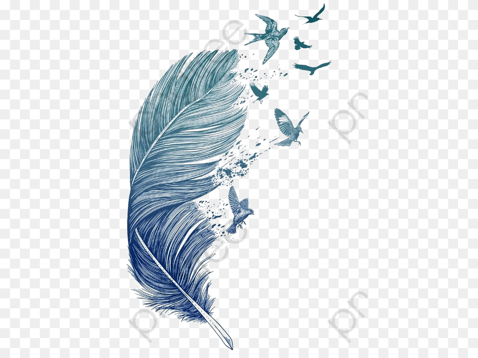 Feather Clipart Bird Birds Flying Off Feather, Outdoors, Plant, Sea Waves, Nature Free Png