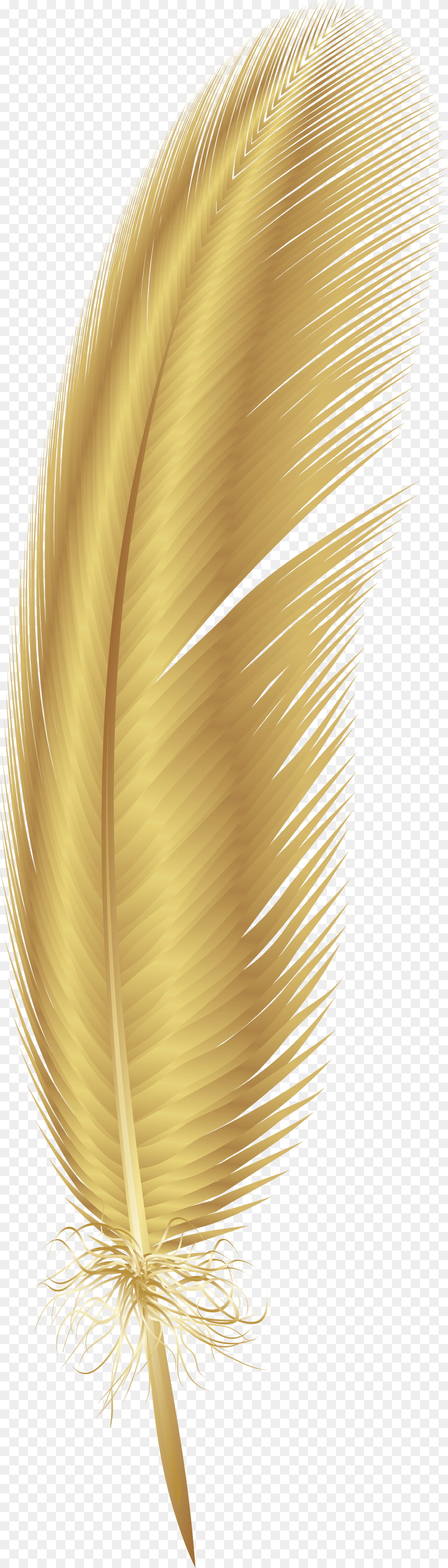 Feather Clipart Gold Feather, Bottle, Accessories Png Image
