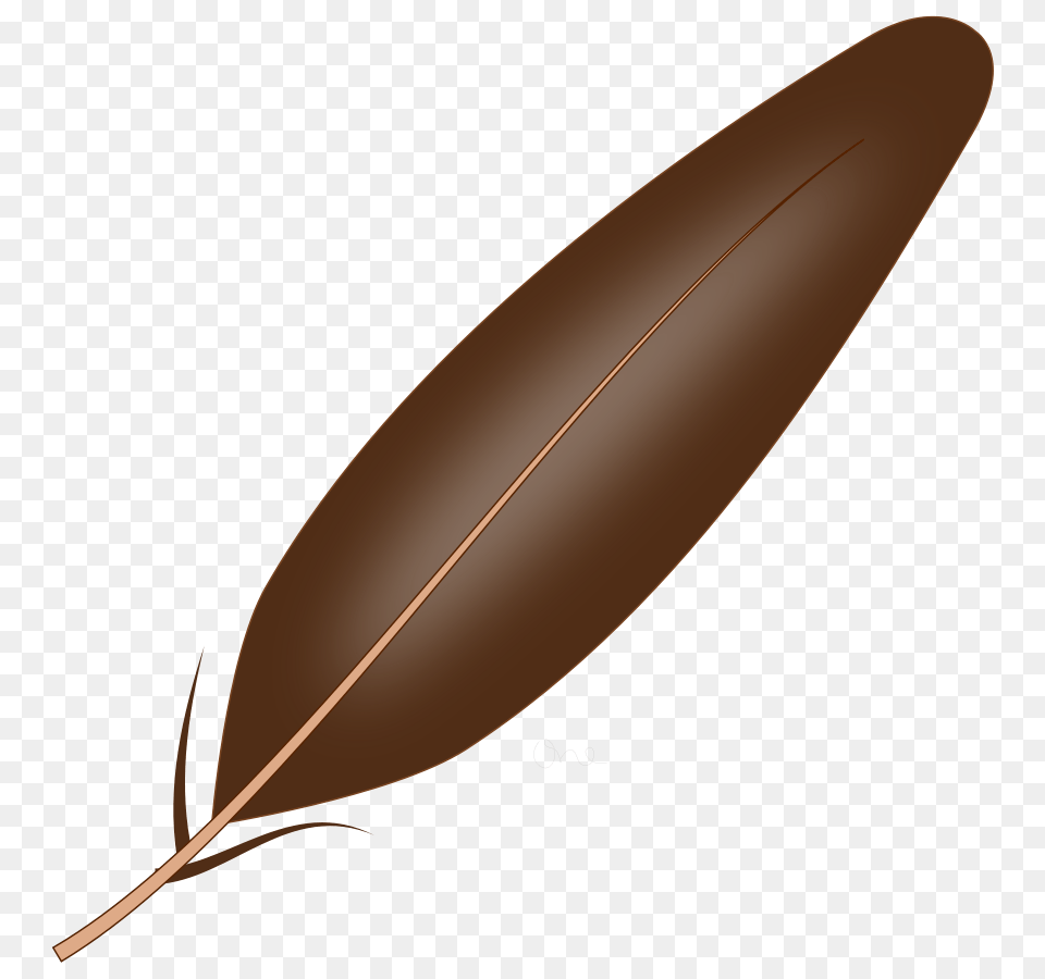 Feather Cliparts, Leaf, Plant, Bottle, Bow Png Image