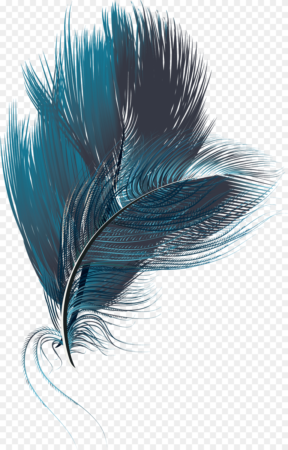 Feather Computer File Illustration, Art, Graphics, Adult, Female Free Png