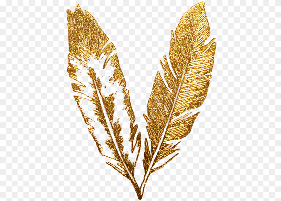 Feather Decor Decoration Icon Gold Feather Drawing, Accessories, Leaf, Plant, Jewelry Free Transparent Png