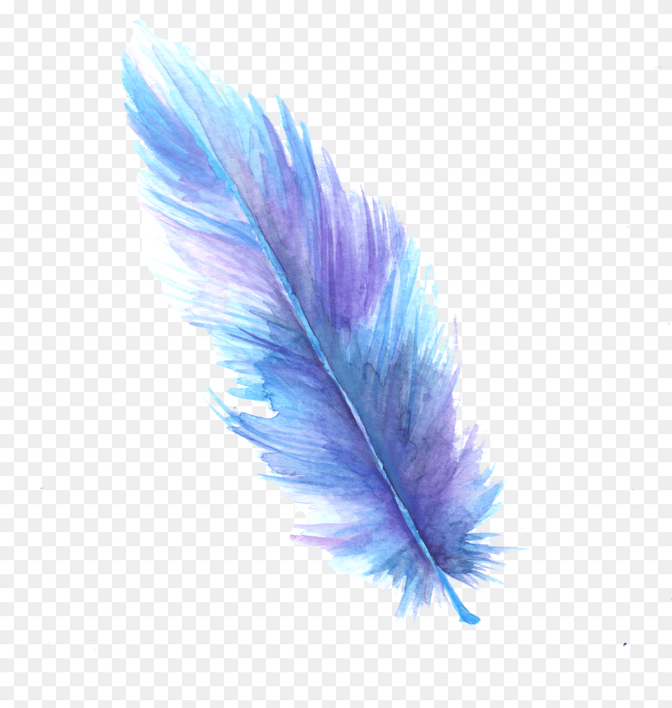 Feather Digital Art Watercolor Painting Clip Art Transparent Background Feather, Bottle, Leaf, Plant, Accessories Free Png