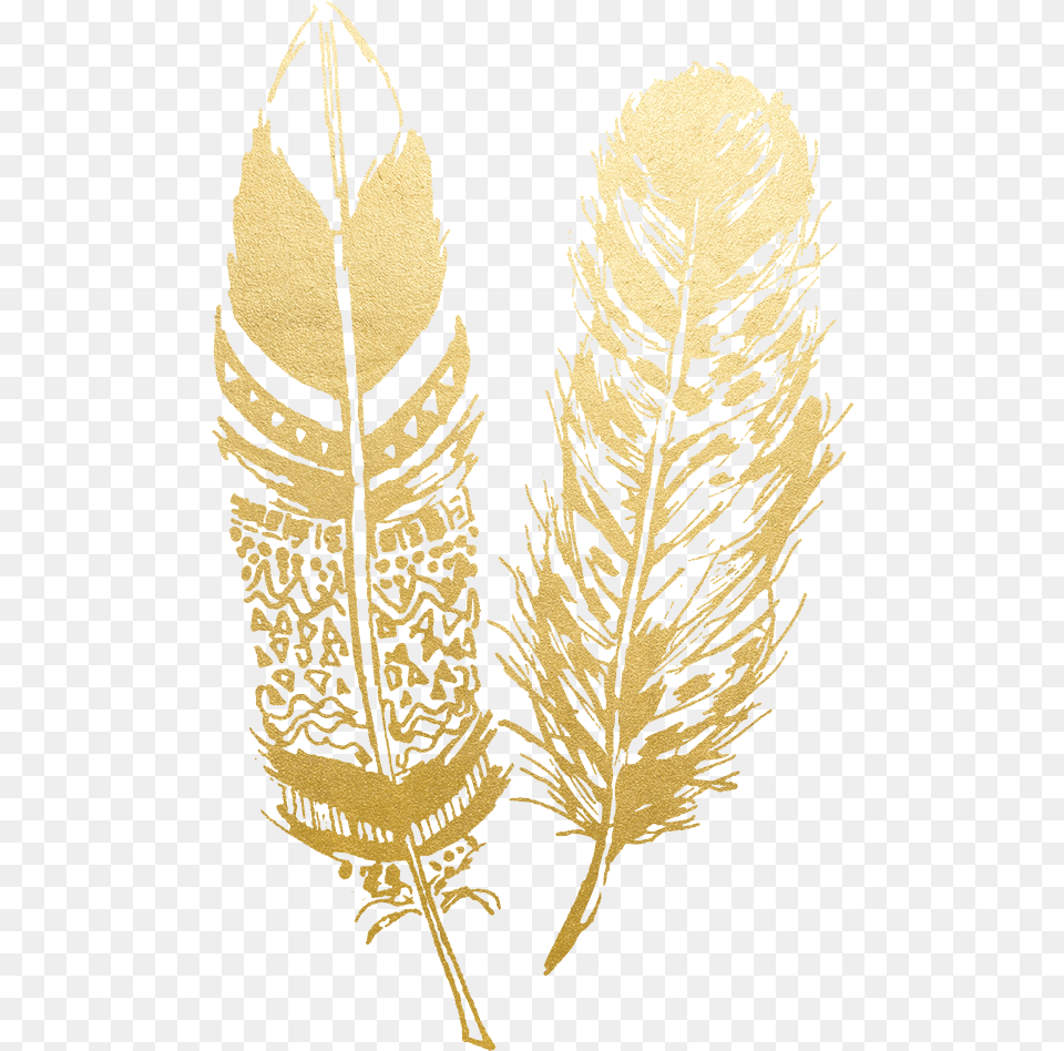 Feather Drawing Boho Gold Feathers, Plant, Leaf, Accessories, Wedding Png