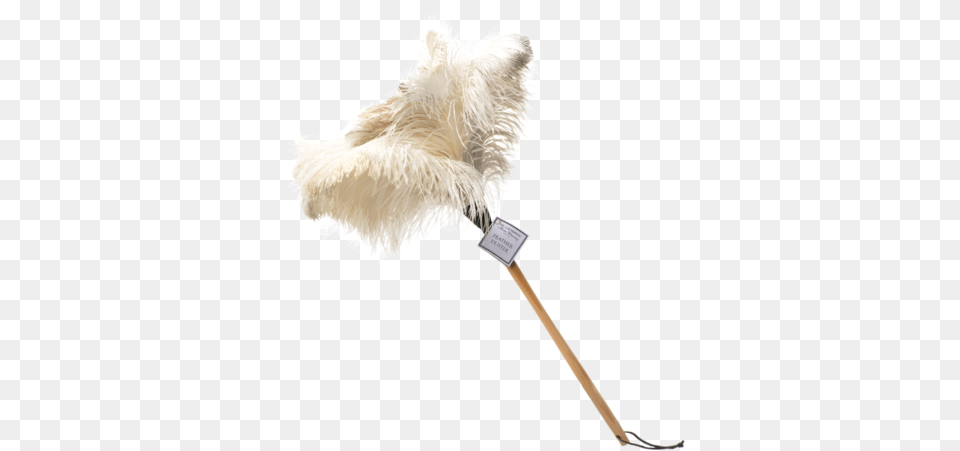 Feather Duster Laundress 1711 Feather Duster Png