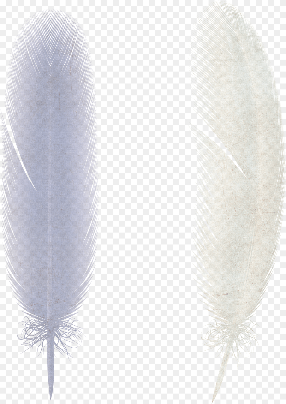 Feather Earrings Free Transparent Png