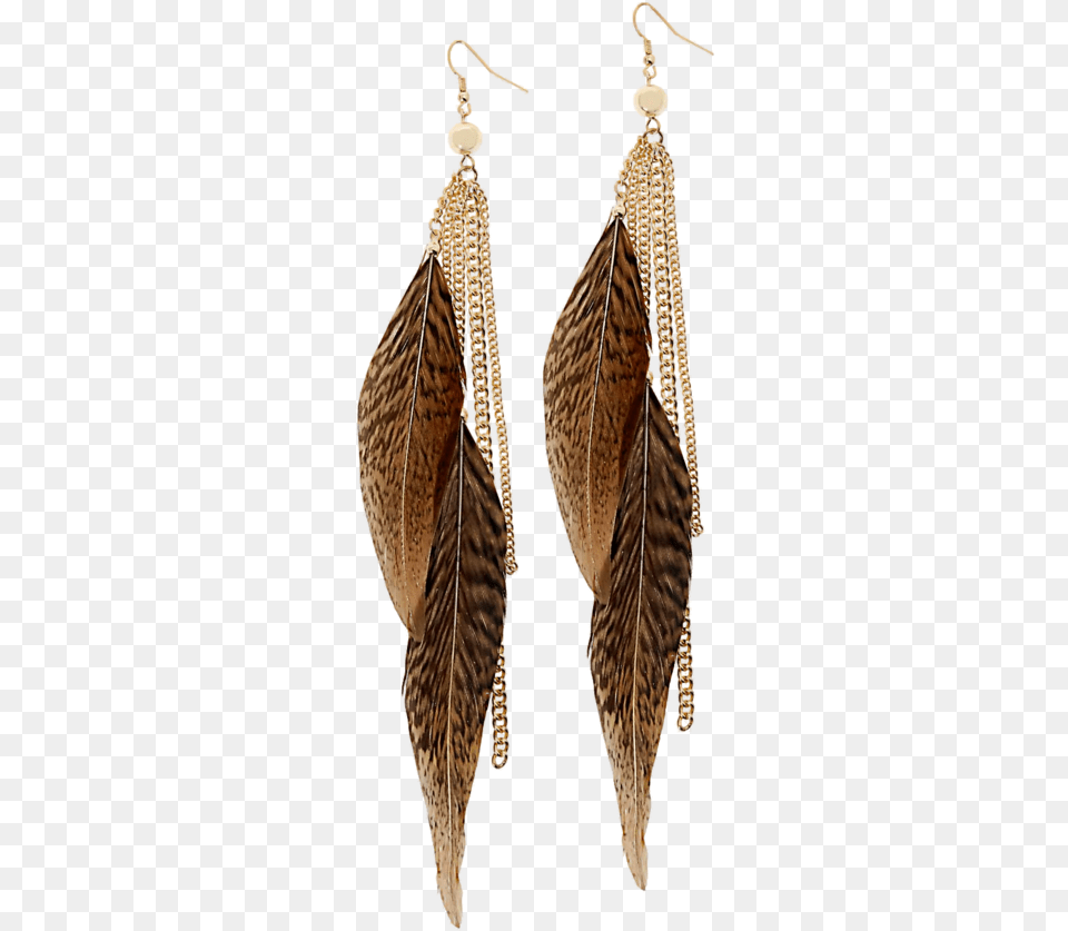 Feather Earrings For Free Download Feather Earring, Accessories, Jewelry, Animal, Bird Png Image