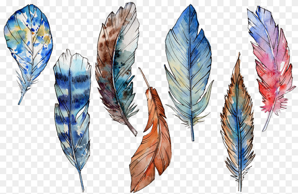 Feather Feathers Boho Bohostyle Bohofeathers Watercolor, Accessories, Leaf, Plant, Jewelry Free Transparent Png