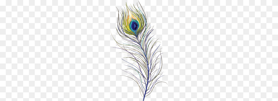 Feather Feathers Peacock Peacockfeather Peacockfeathers Sketch, Pattern, Accessories, Fractal, Ornament Free Png Download