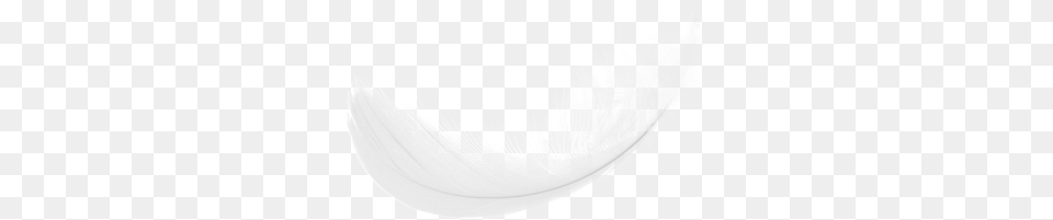 Feather Free Download Plume Blanche Fond Transparent, Accessories, Person Png Image